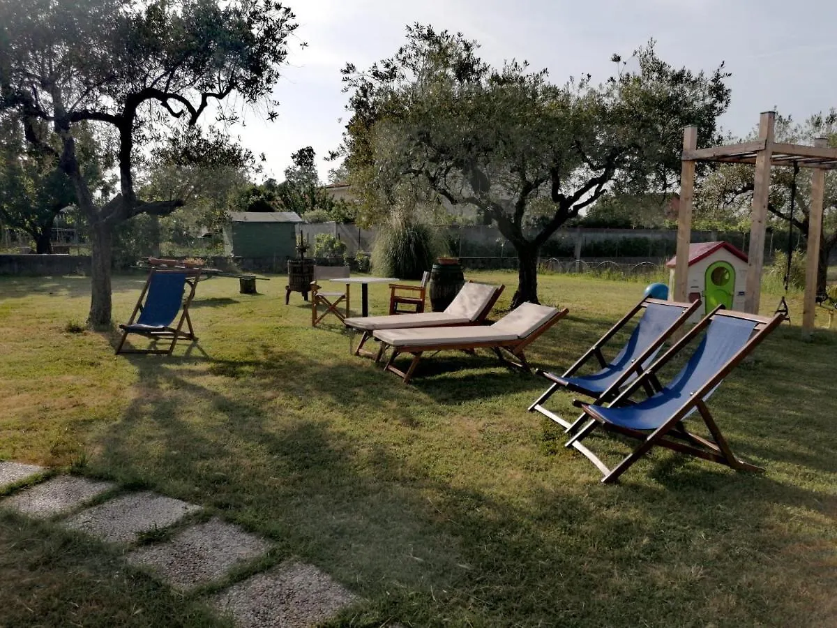 Nonna Piera Bed & Breakfast Marina Di Carrara 0*,  Italy