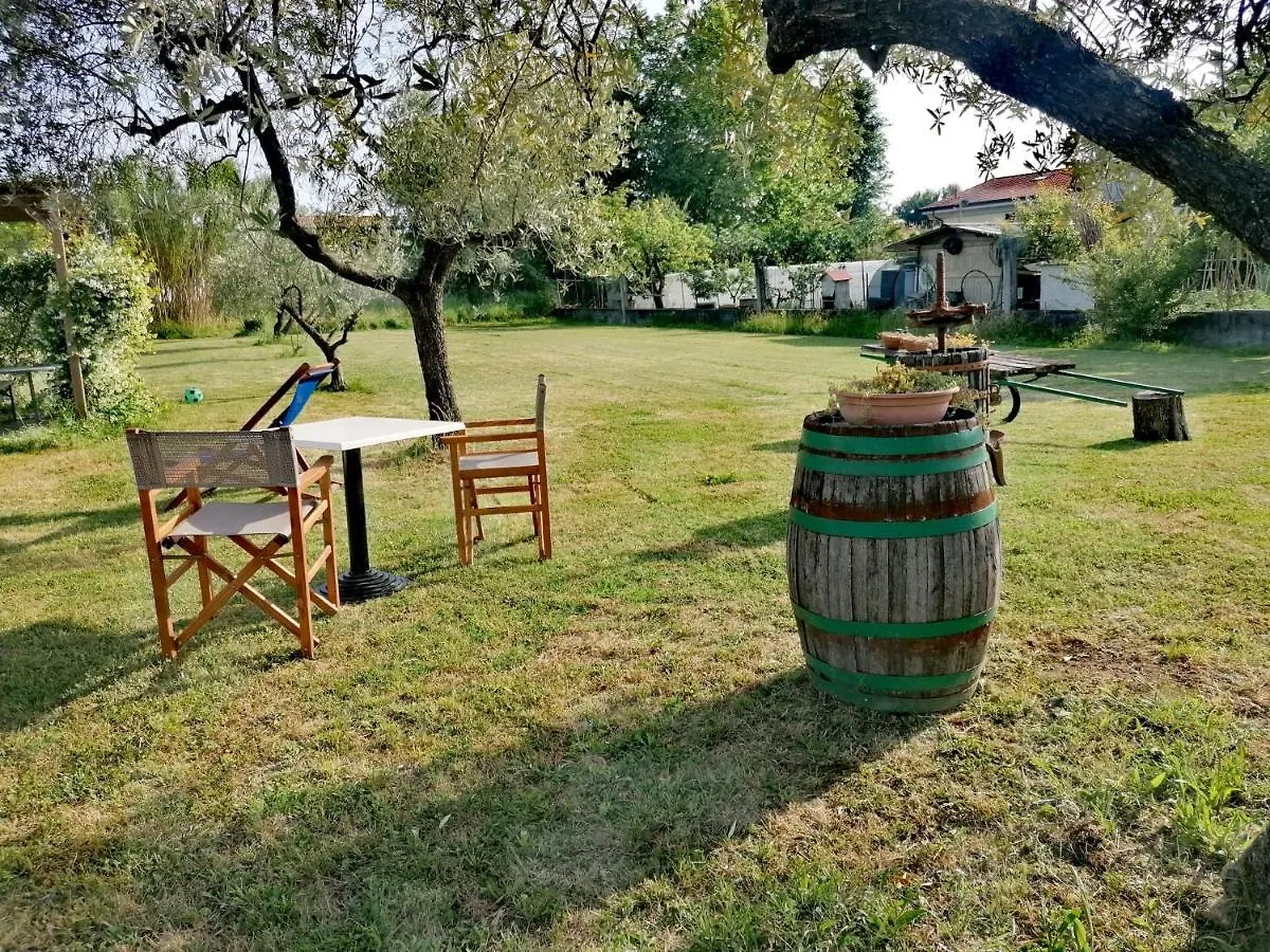 Nonna Piera Bed & Breakfast Marina Di Carrara