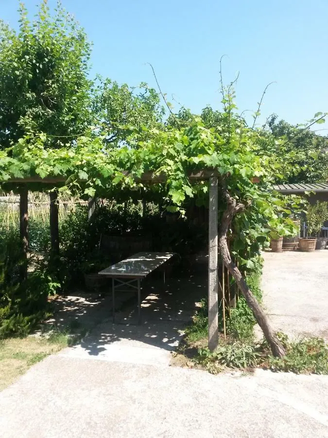 Bed and Breakfast Nonna Piera Marina Di Carrara Italien
