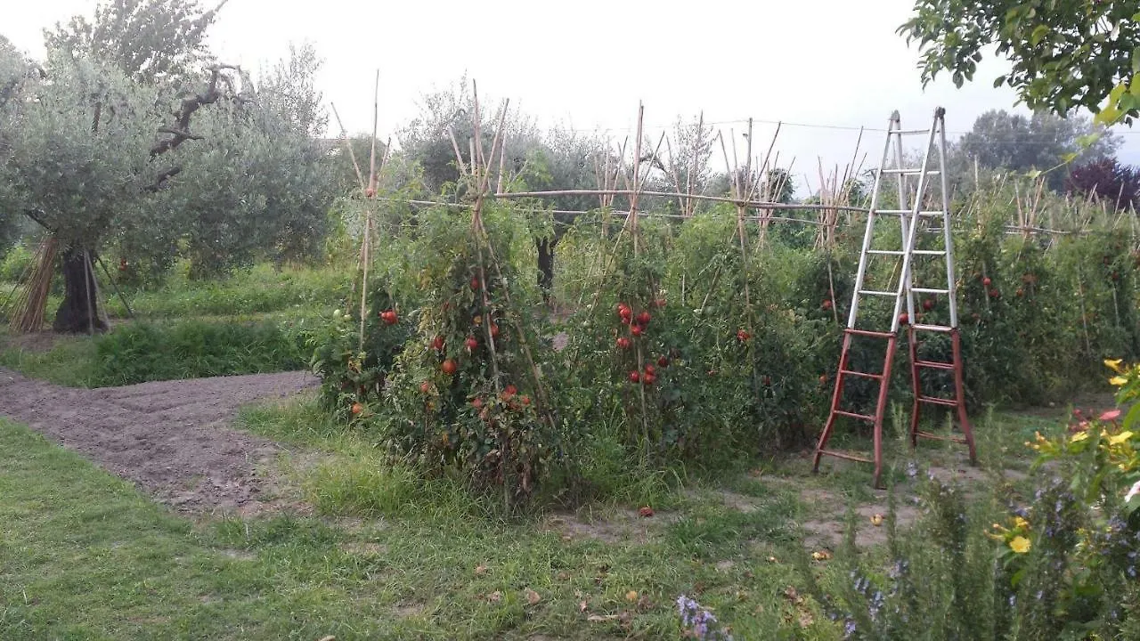 Nonna Piera Bed & Breakfast Marina Di Carrara