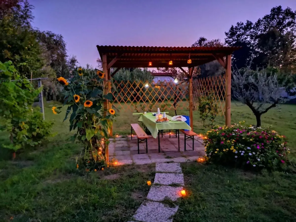 Nonna Piera Bed & Breakfast Marina Di Carrara 0*,
